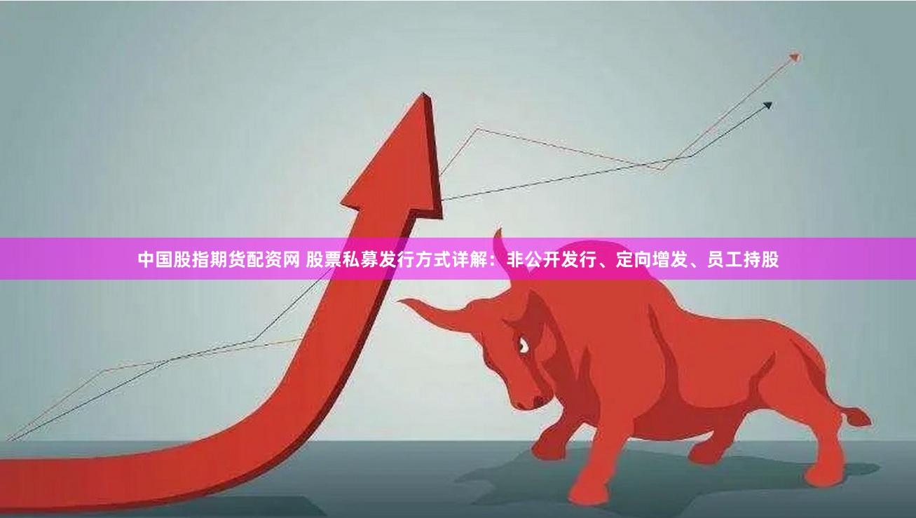 中国股指期货配资网 股票私募发行方式详解：非公开发行、定向增发、员工持股