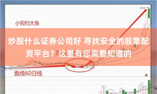 炒股什么证券公司好 寻找安全的股票配资平台？这里有您需要知道的