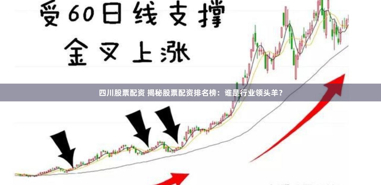 四川股票配资 揭秘股票配资排名榜：谁是行业领头羊？